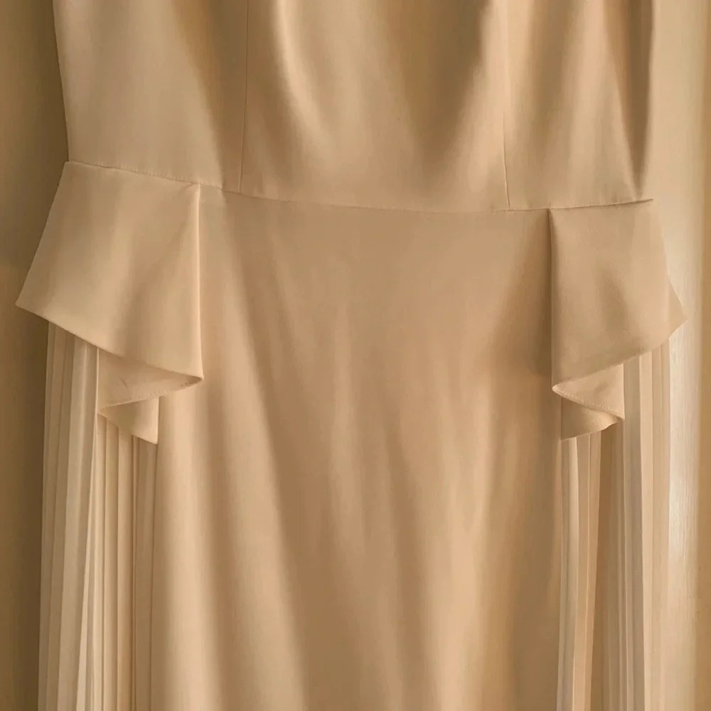 Cynthia Steffe Eden Sleeveless Cream Pleated Maxi‎ Gown Size 4 - NWT - Picture 5 of 16